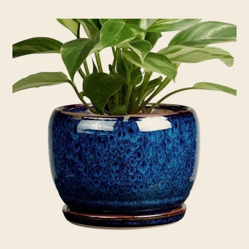 Ordivic 6-Inch Blue Glaze Ceramic Pots, 2-pack